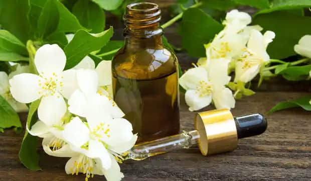 Yaseminli Parfüm: Doğadan Gelen Zarafet ve Çekiciliğin Güncel Kullanım Rehberi