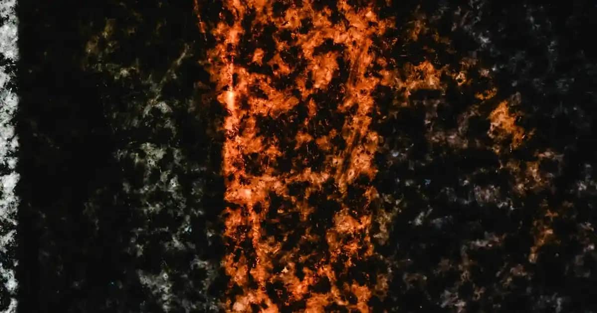 Yeşil Çayın Saça Faydaları ve Doğal Güzellik İçin Kullanım Yöntemleri