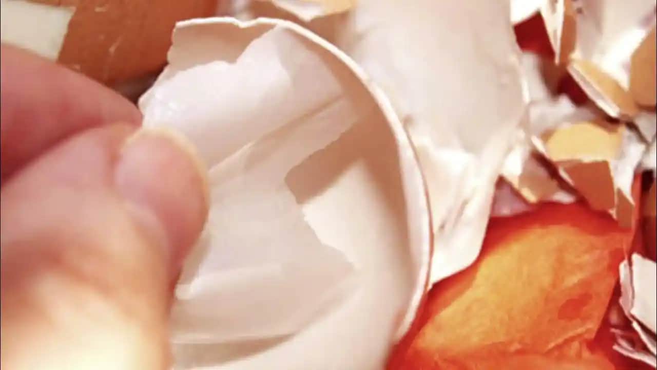 Yumurta Kabuğu Zarı ile Doğal Güzellik ve Cilt Bakımı Yöntemleri