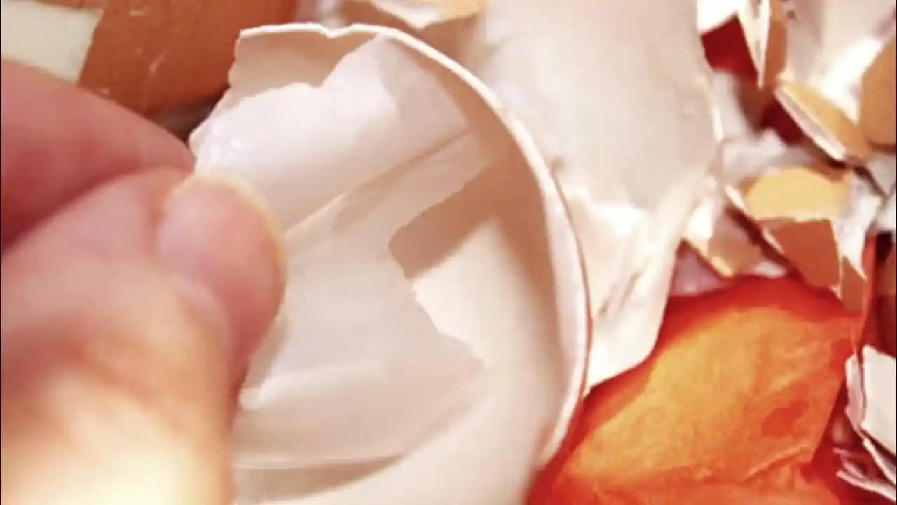 Yumurta Kabuğu Zarı ile Doğal Güzellik ve Cilt Bakımı Yöntemleri