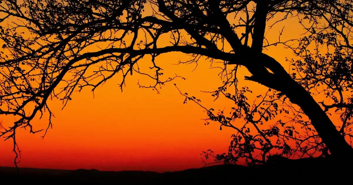 Yüzde Kızarıklık ve Kaşıntıya Karşı Etkili Kozmetik Bakım Yöntemleri ve Çözüm Önerileri