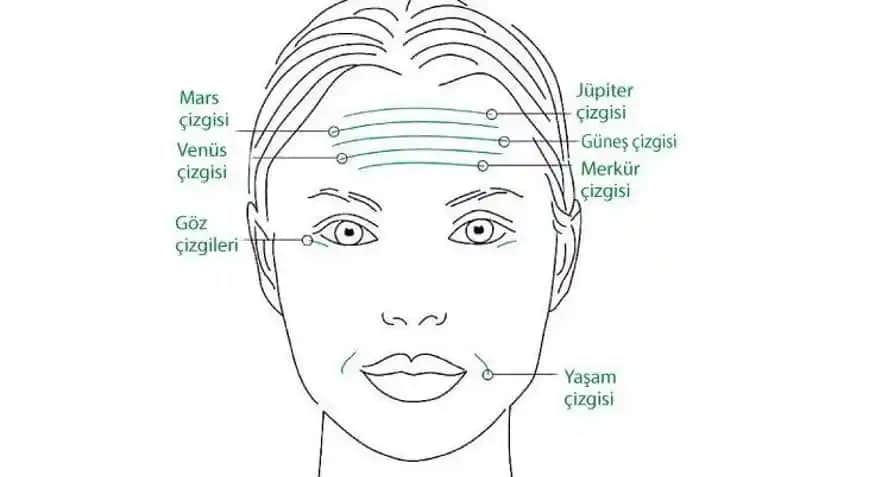 Yüzdeki İnce Çizgilere Karşı Etkili Yöntemler ve Cilt Bakım İpuçları