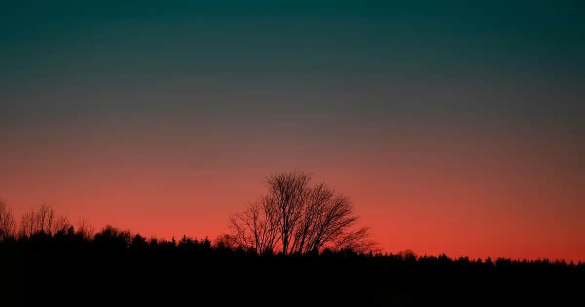 Yüzdeki Lekelere İyi Gelen Sabunlar ve Cilt Temizliği Yöntemleri