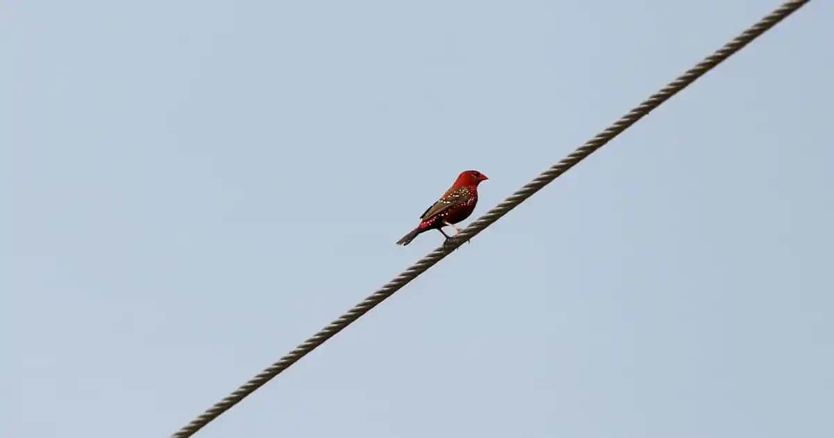 Yüzdeki Sivilce Lekelerini Azaltmak İçin Etkili Doğal Yöntemler ve Bakım İpuçları
