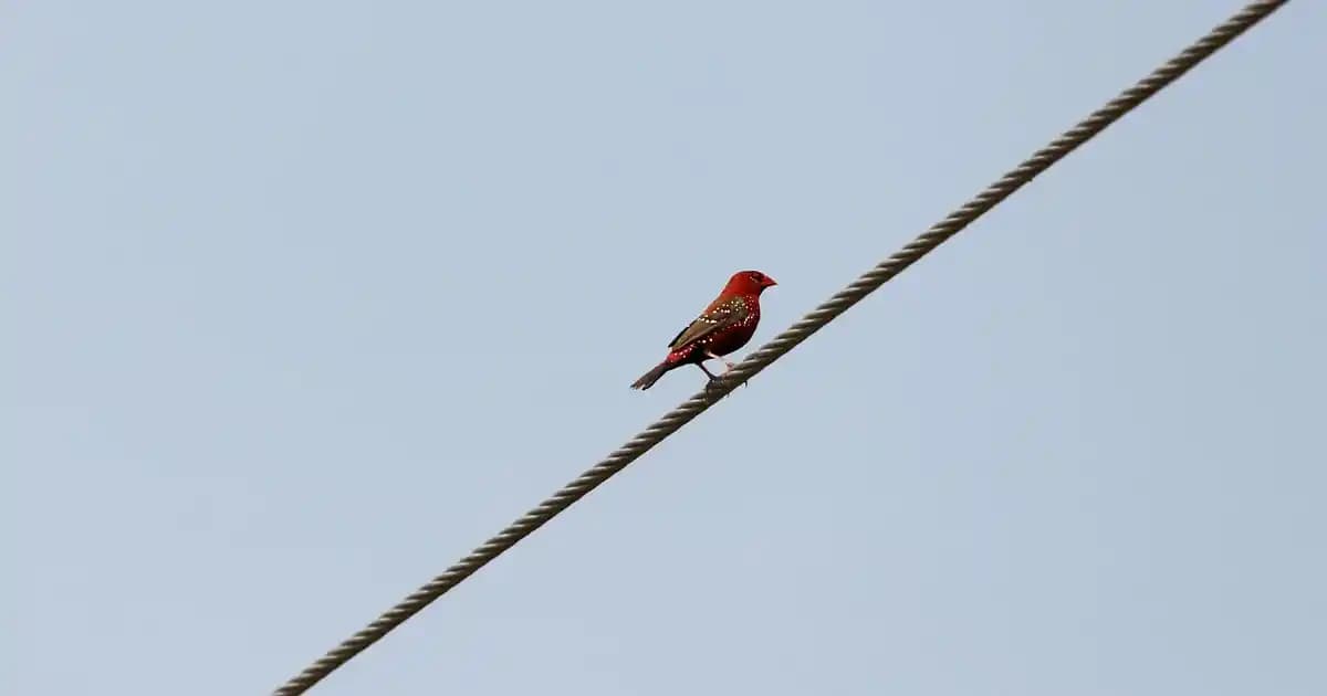 Yüzdeki Sivilce Lekelerini Azaltmak İçin Etkili Doğal Yöntemler ve Bakım İpuçları