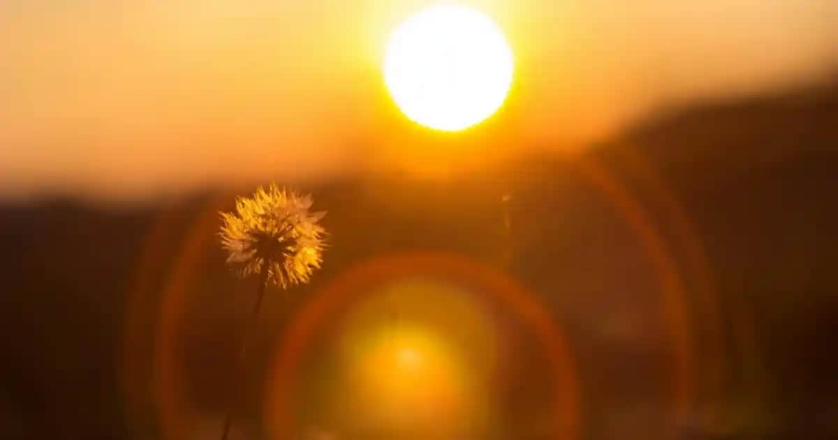 Yüzü Parlak Gösteren En Etkili Ürünler ve İpuçları Cilt Parlaklığını Artırmak İçin
