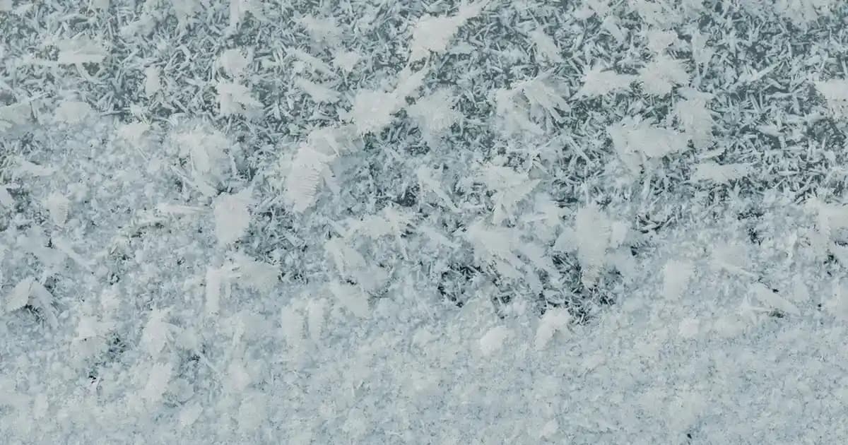 Bargello 186 Parfümü ve Muadili Hakkında Bilgi Eksikliği ve Değerlendirme