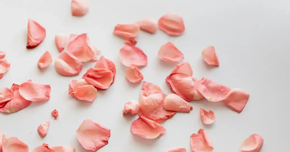 Bargello 338 ve Muadil Parfümler: Oriental Koku Dünyasında Kalıcı ve Baharatlı Alternatifler