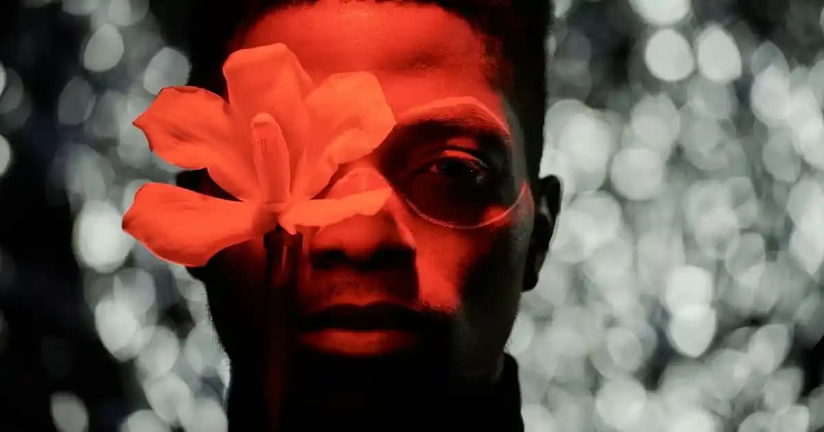 Gül Hastalığına İyi Gelen Kremlerde Doğru Seçim ve Dikkat Edilmesi Gerekenler