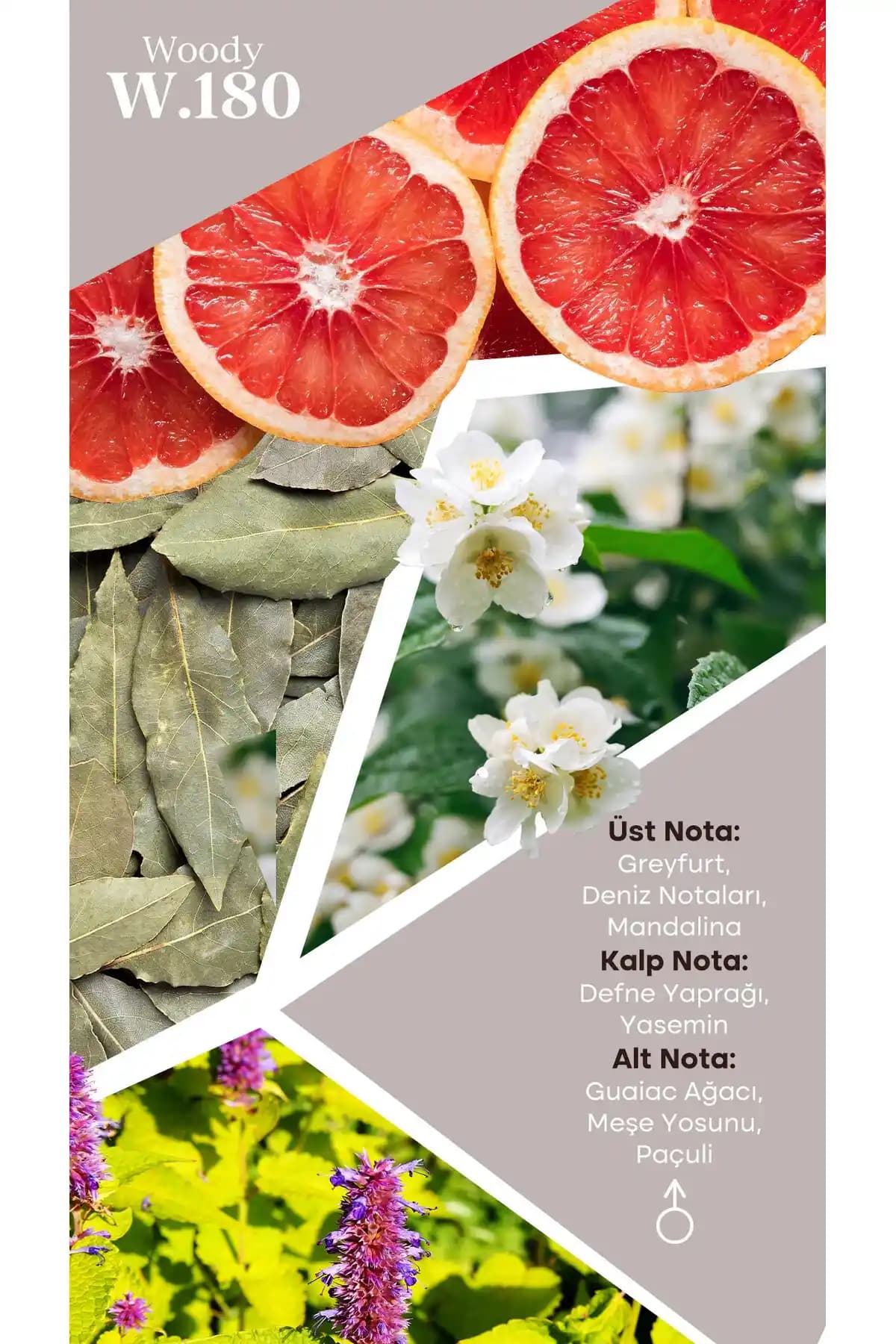 Hula Hoop Egzersizi: Eğlenceli ve Etkili Bel-Kalça Fitness Yöntemleri