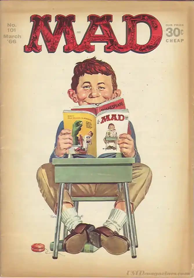 Mad Parfüm Mad 101 Serisi: Çiçeksi ve Odunsu Notalarla Kadın Parfüm Seçenekleri