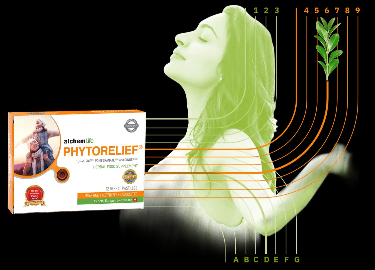 Phytorelief: Kozmetik ve Kişisel Bakımda Mevcut Veri Eksikliği ve Değerlendirme