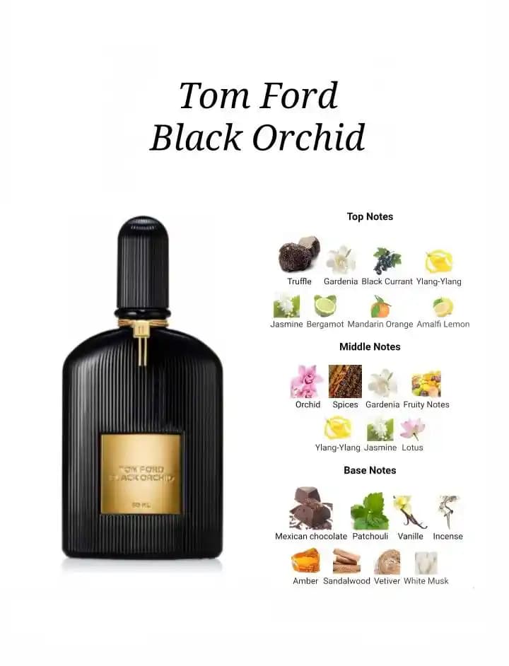 Tom Ford Black Orchid Parfüm Notaları Hakkında Detaylı Bilgi Eksikliği ve Önemi
