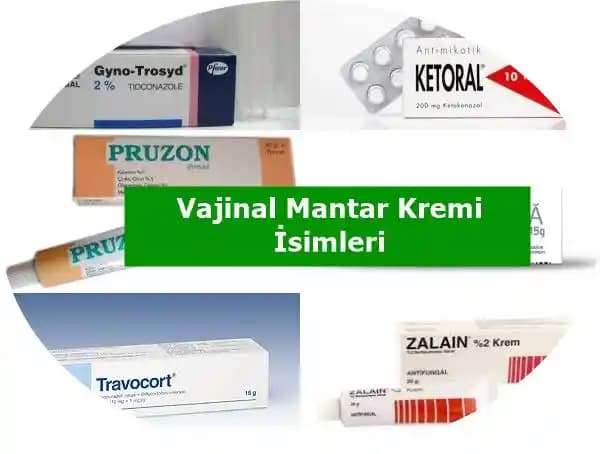 Vajinal Mantar Kremi: Antifungal Tedavi ve Kullanım Alanları Hakkında Temel Bilgiler