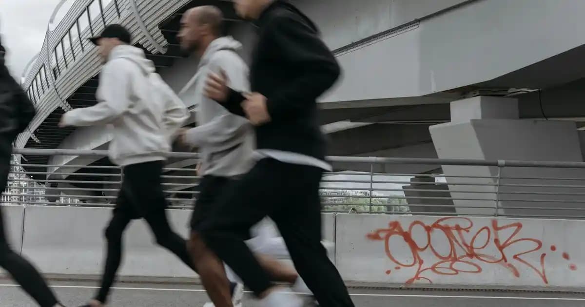 Yves Rocher Lip Balm Ürün Bilgisi ve Mevcut Arama Sonuçlarının Değerlendirilmesi