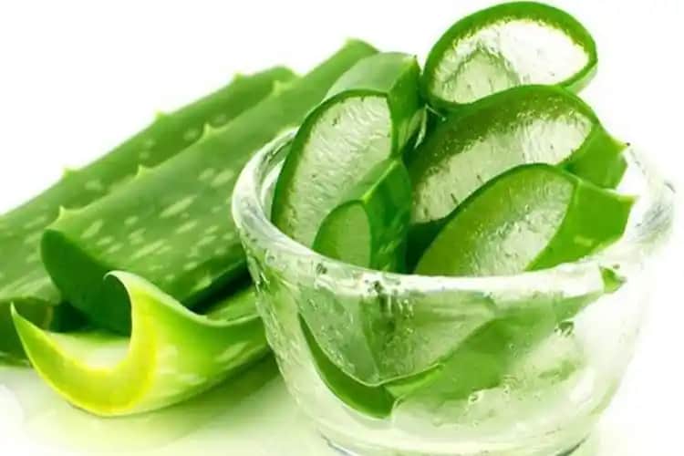 Aloe Vera Bitki Jeli: Doğal Güzellik ve Sağlık İçin Kullanım ve Faydaları