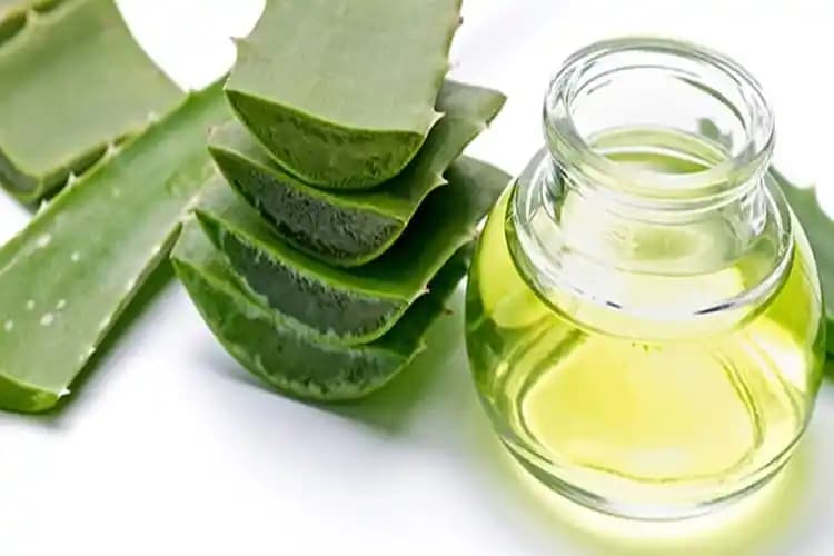 Aloe Vera Çiçeği Yüz Uygulama Yöntemleri ve Cilt Faydaları Hakkında Bilgiler