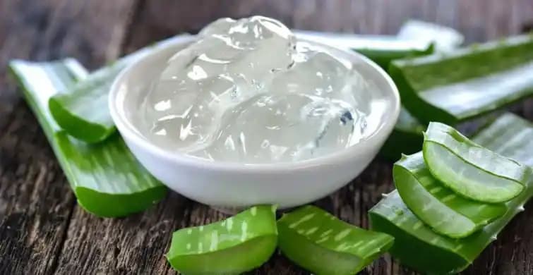 Aloe Vera Çiçeğinin Kozmetik Alanındaki Faydaları ve Cilt Sağlığına Katkıları