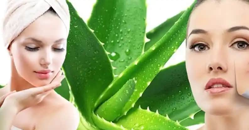Aloe Vera ile Cilt Bakımı: Doğal Güzellik ve Sağlık İçin Etkili Yöntemler
