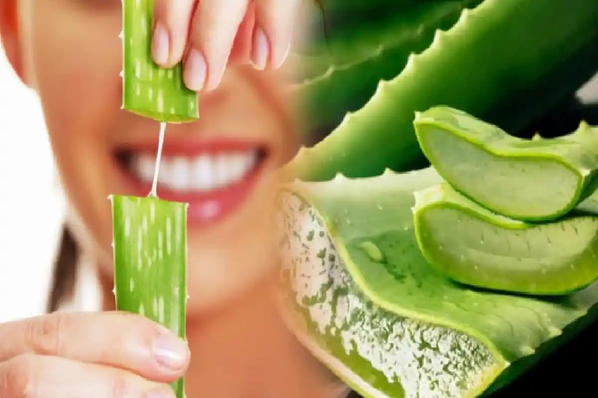Aloe Vera ile Cilt Bakımı: Doğal ve Etkili Cilt Sağlığı Yöntemleri