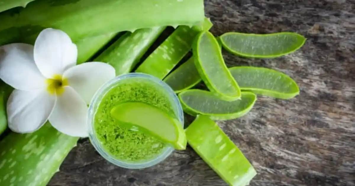 Aloe Vera ile Doğal Güzellik ve Cilt Bakımı Rehberi