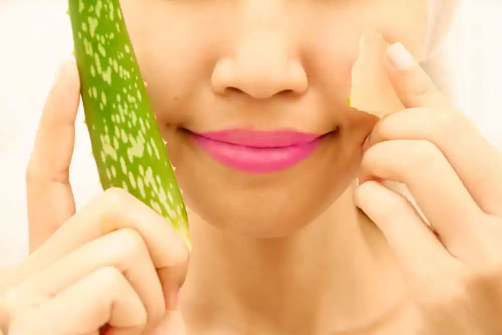 Aloe Vera ile Doğal Güzellik ve Cilt Saç Bakımında Kullanım Yöntemleri