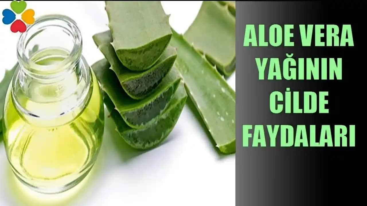 Aloe Vera ile Sivilce Tedavisi ve İzlerin Gözle Görünür Sonuçlara Etkisi