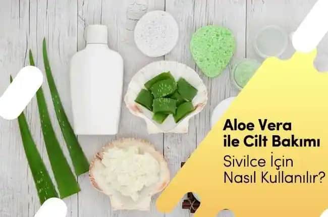 Aloe Vera ile Sivilce ve İzlerine Doğal Çözüm Yöntemleri ve Uygulama İpuçları