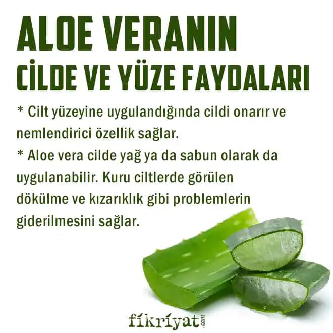 Aloe Vera ile Yüz Bakımı: Güvenli Kullanım ve Doğru Uygulama Yöntemleri
