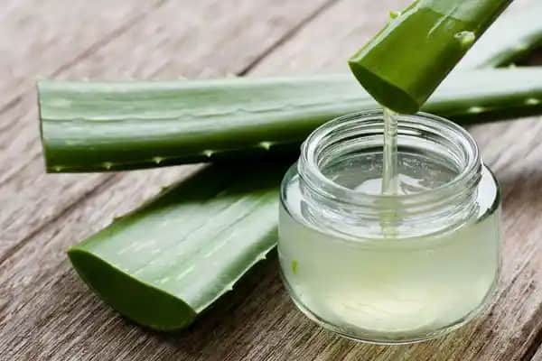 Aloe Vera Jeli: Cilt ve Saç Sağlığını Destekleyen Doğal Bir Güzellik Kaynağı