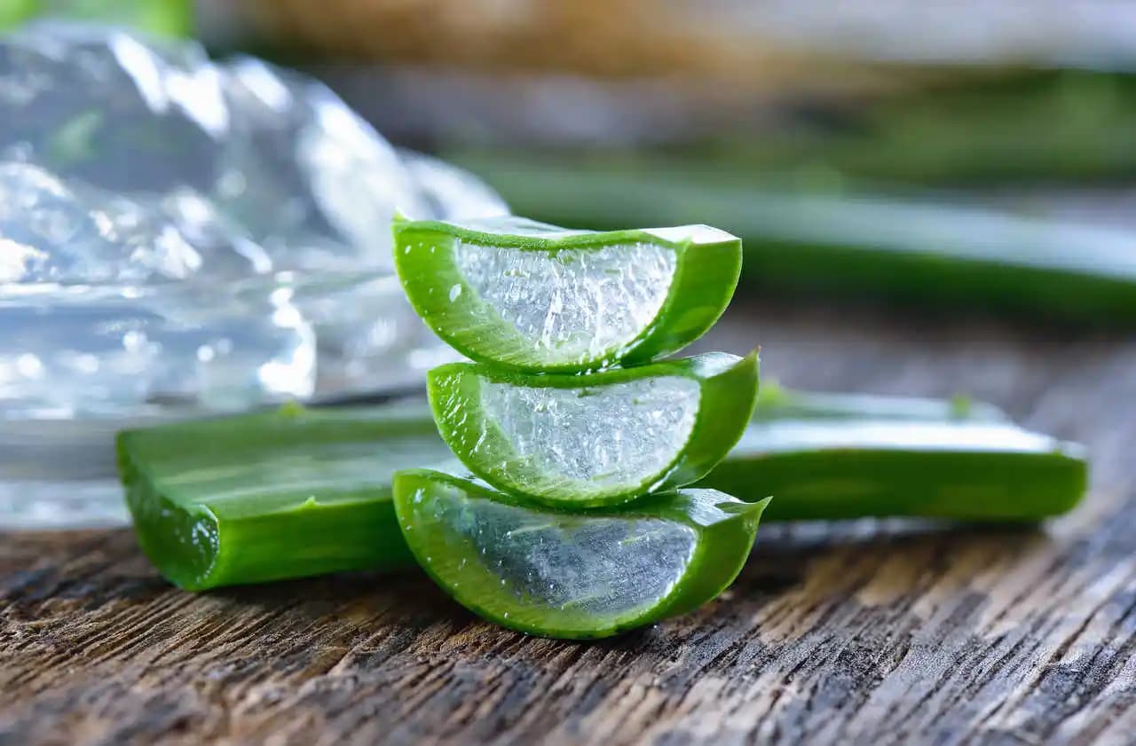 Aloe Vera Jeli: Doğal Güzellik ve Cilt Bakımında En Etkili Çözüm