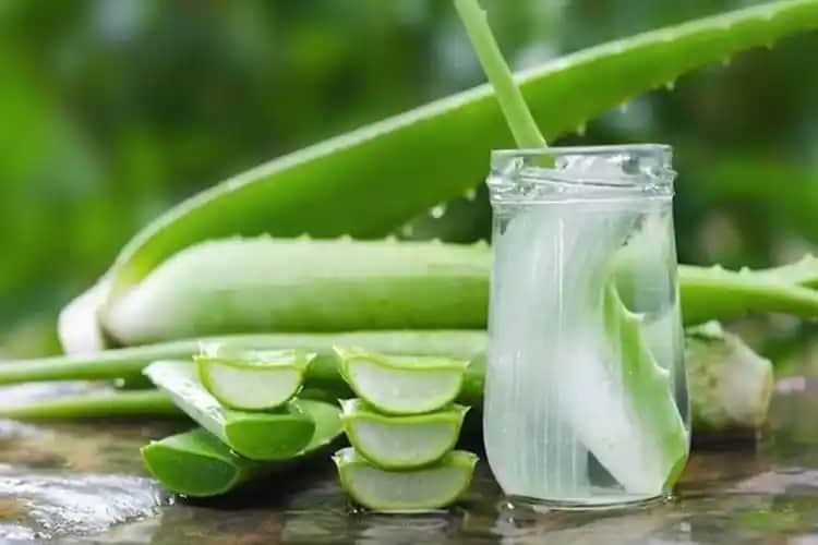 Aloe Vera Jeli Nasıl Yapılır: Doğal ve Güvenilir Cilt Bakım Rehberi