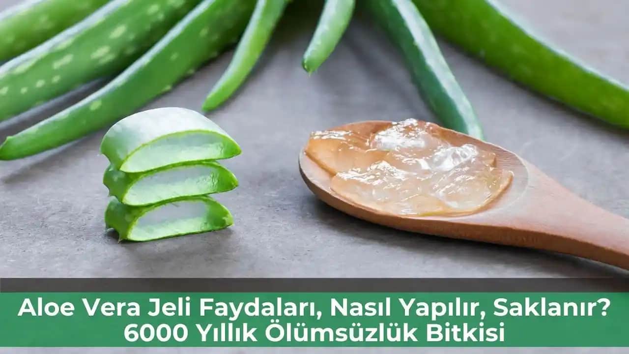 Aloe Vera Jeli Nasıl Yapılır Evde Doğal Güzellik ve Bakım İçin Pratik Tarifler