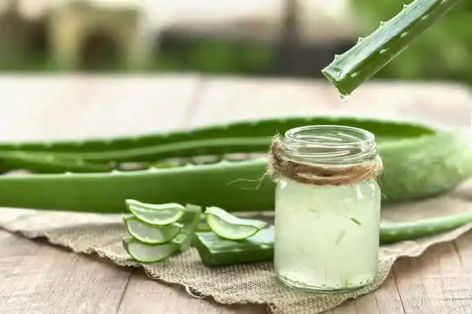 Aloe Vera Jeli Nedir? Doğal Güzellik ve Sağlık İçin Çok Yönlü Kullanım Rehberi