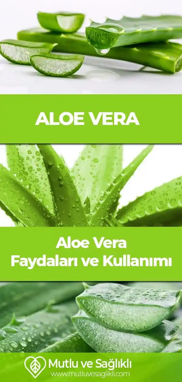 Aloe Vera Jelinin Cilt Sağlığına Faydaları ve Kullanım İpuçları