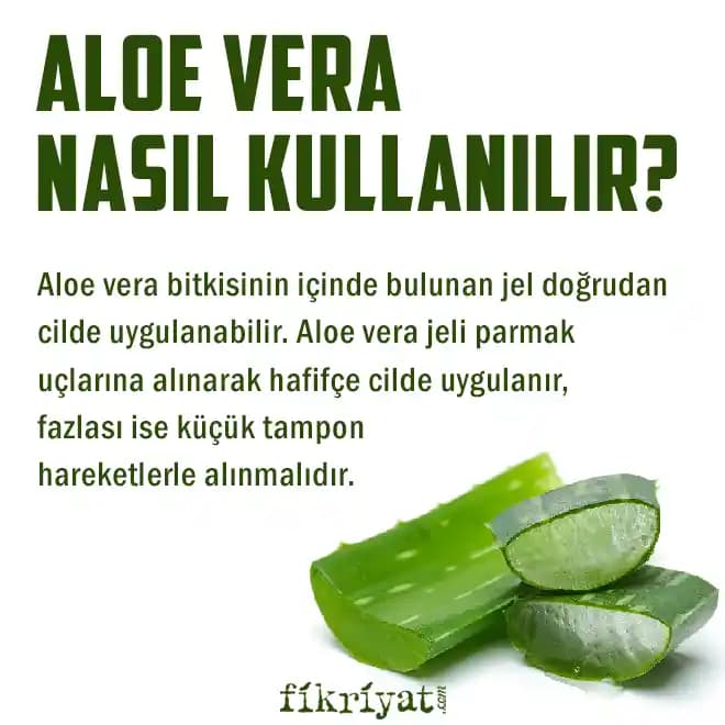 Aloe Vera Jelinin Cilt Sağlığına Katkıları ve Doğal Kullanım Yöntemleri