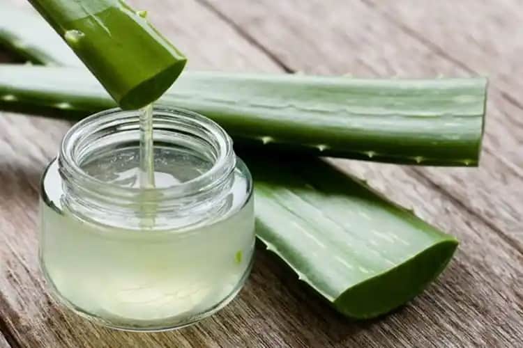 Aloe Vera Jelinin Yüzde Kalma Süresi ve Doğru Kullanım Yöntemleri Rehberi
