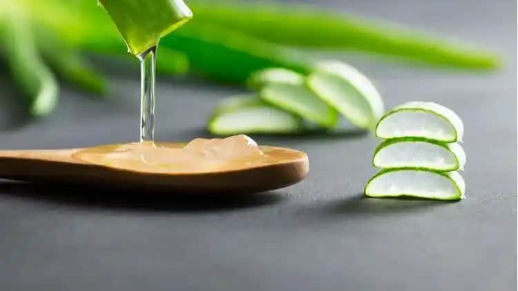 Aloe Vera Jelinin Yüze Faydaları: Doğal Cilt Bakımında Güçlü Bir Alternatif