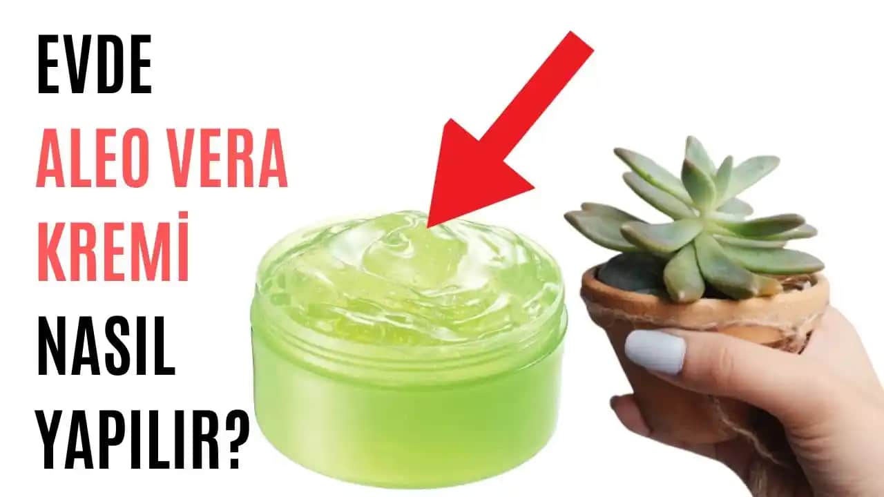 Aloe Vera Krem Kullanımı ve Faydaları: Doğal Cilt Bakımında Etkili Çözümler