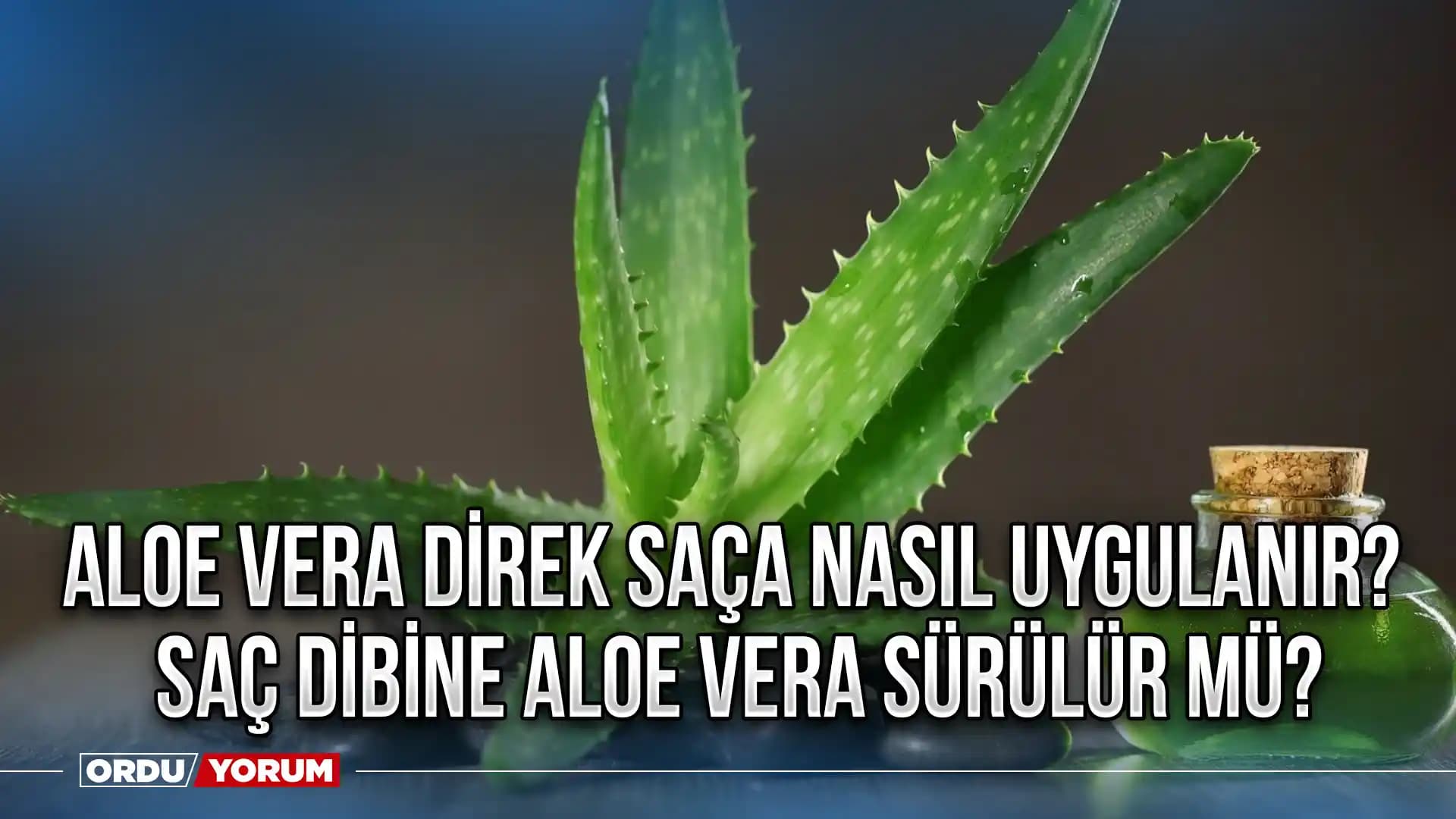 Aloe Vera Nasıl Sürülür? Doğal Cilt Bakımı İçin Uygulama Yöntemleri ve Faydaları