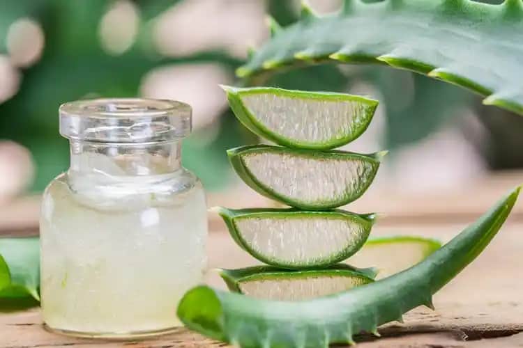 Aloe Vera'nın Cilt Tiplerine Uygunluğu ve Doğru Kullanım Yöntemleri