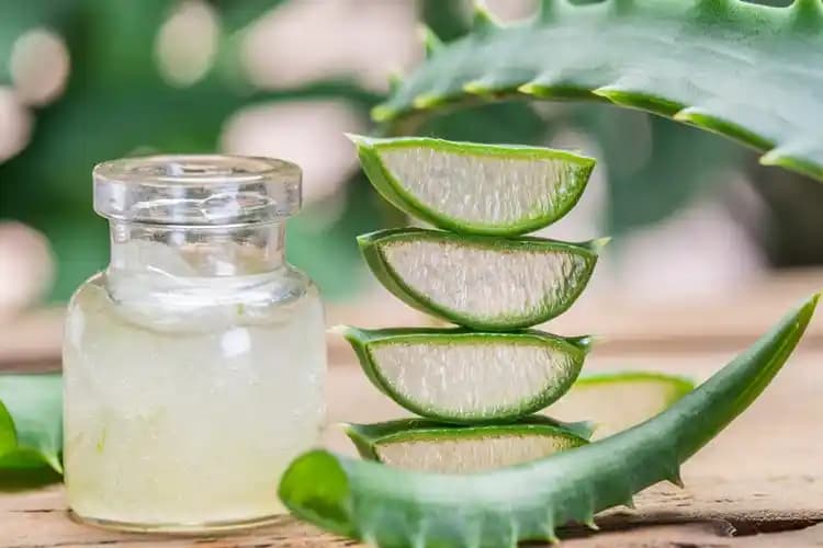Aloe Vera'nın Cilt Tiplerine Uygunluğu ve Doğru Kullanım Yöntemleri