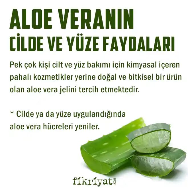 Aloe Vera'nın Yüze Faydaları ve Doğal Cilt Bakımında Kullanım Yöntemleri