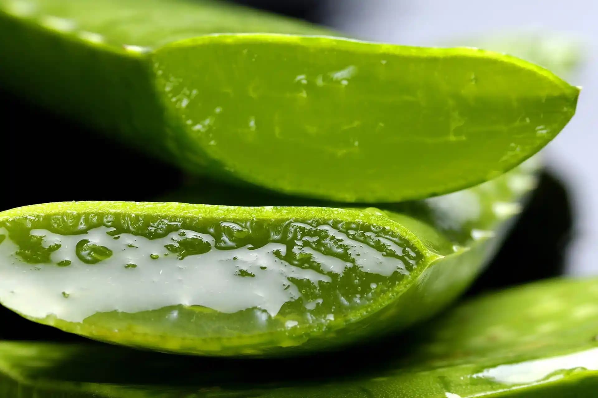 2025'te Aloe Vera ile Cilt Bakımında Devrim: Doğal Güzelliğin Sırları