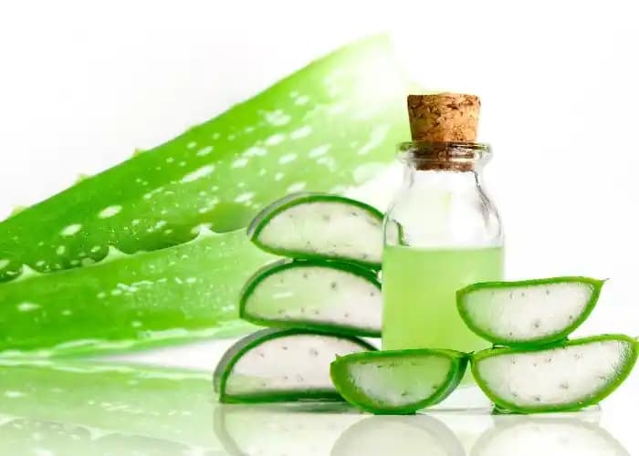 Aloe Vera Uygulama Yöntemleri ve Kozmetik Bakımda Doğal Mucize