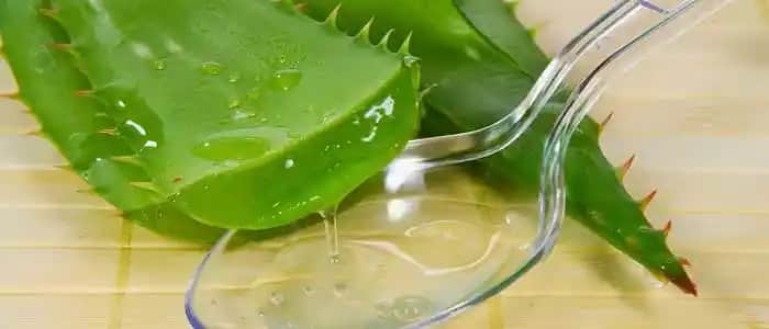 Aloe Vera ve Cinsellik: Doğal Destekler ve Güvenlik İpuçları