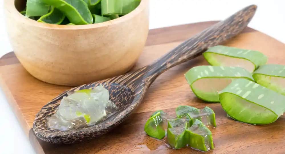 Aloe Vera ve Kozmetik: Cilt ve Cinsel Organlara Yönelik Faydaları Analizi