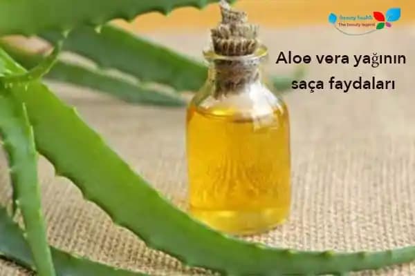 2025'te Aloe Vera Yağı ile Cilt ve Saç Bakımında Devrim Yaratın