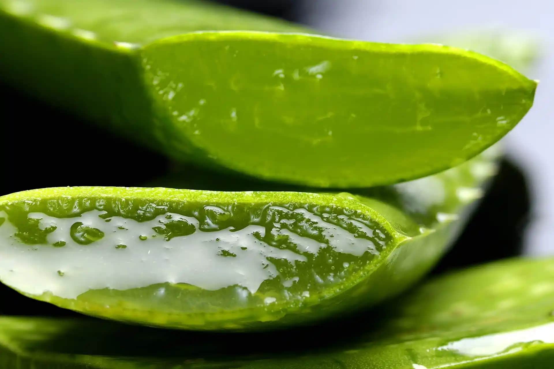 Aloe Vera Yüz Uygulama Yöntemleri ve Cilt Bakımında Kullanımı Rehberi