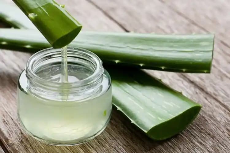 Aloe Vera Yüzde Uygun Bekletme Süresi ve Doğru Kullanım İpuçları